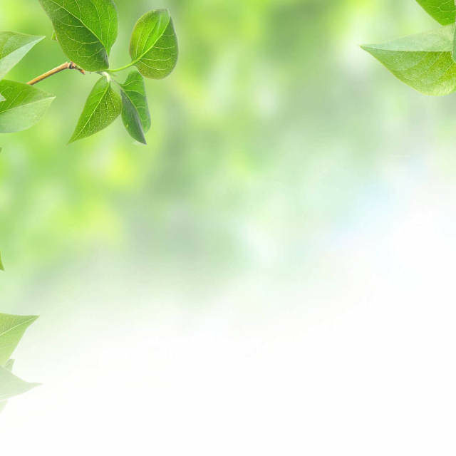 Best addiction treatment in South Africa