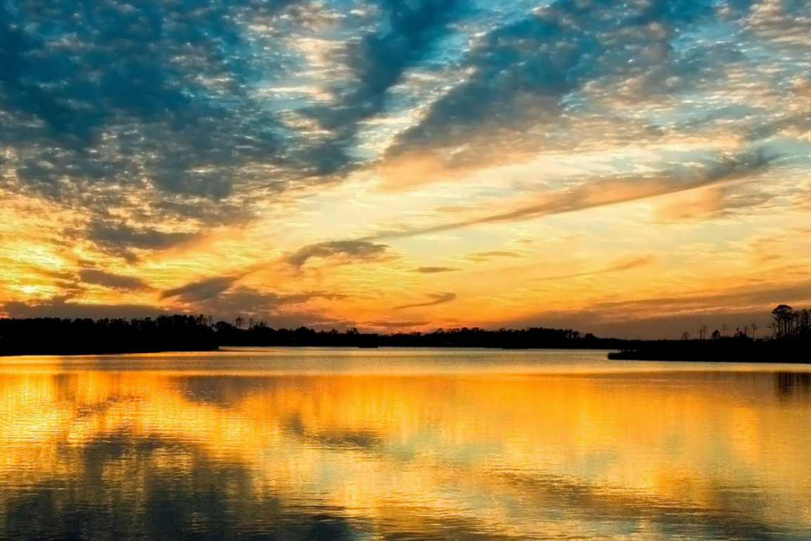 Recovery Direct Rehab Johannesburg π± Healing With Intention